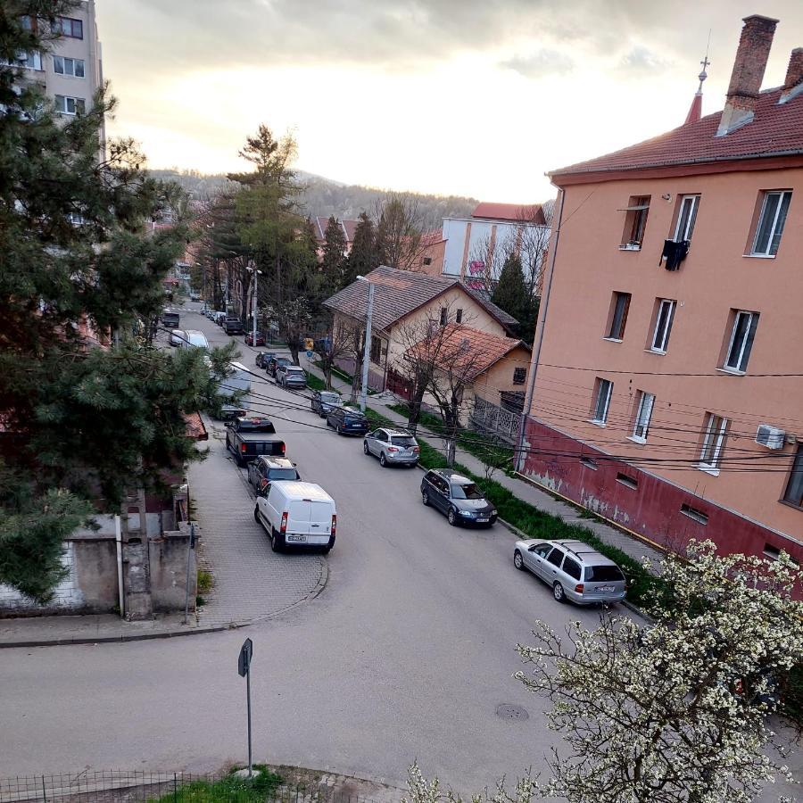Fely Room Петрошани Экстерьер фото